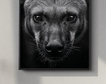 Black and White Hyena Portrait | Powerful Wall Art Digital Print | Instant Download Poster | PDF, JPEG & PNG