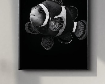 Black and White Clownfish Portrait | Powerful Wall Art Digital Print | Instant Download Poster | PDF, JPEG & PNG