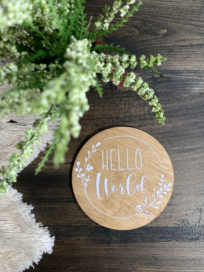 Pregnancy Hello World Photo Prop Name Props Milestones Baby Milestone Milestone Round Baby Months Milestone