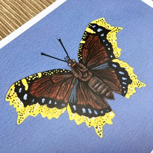 Mourning Cloak Butterfly, Butterfly Print, 5x7 Art Print - Etsy