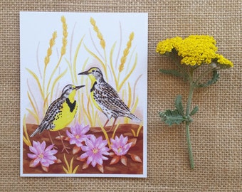 Western Meadowlarks, Bitterroot, Bluebunch Wheatgrass, Montana State Symbol, Montana Postcard, Single Postcard