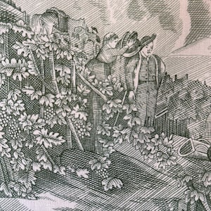 May include: A green and white toile fabric featuring a pastoral scene with figures, trees, and grape vines. The detailed illustration depicts people in a rural setting, with a basket in the foreground.