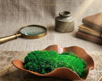 Cuenco de arcilla roja