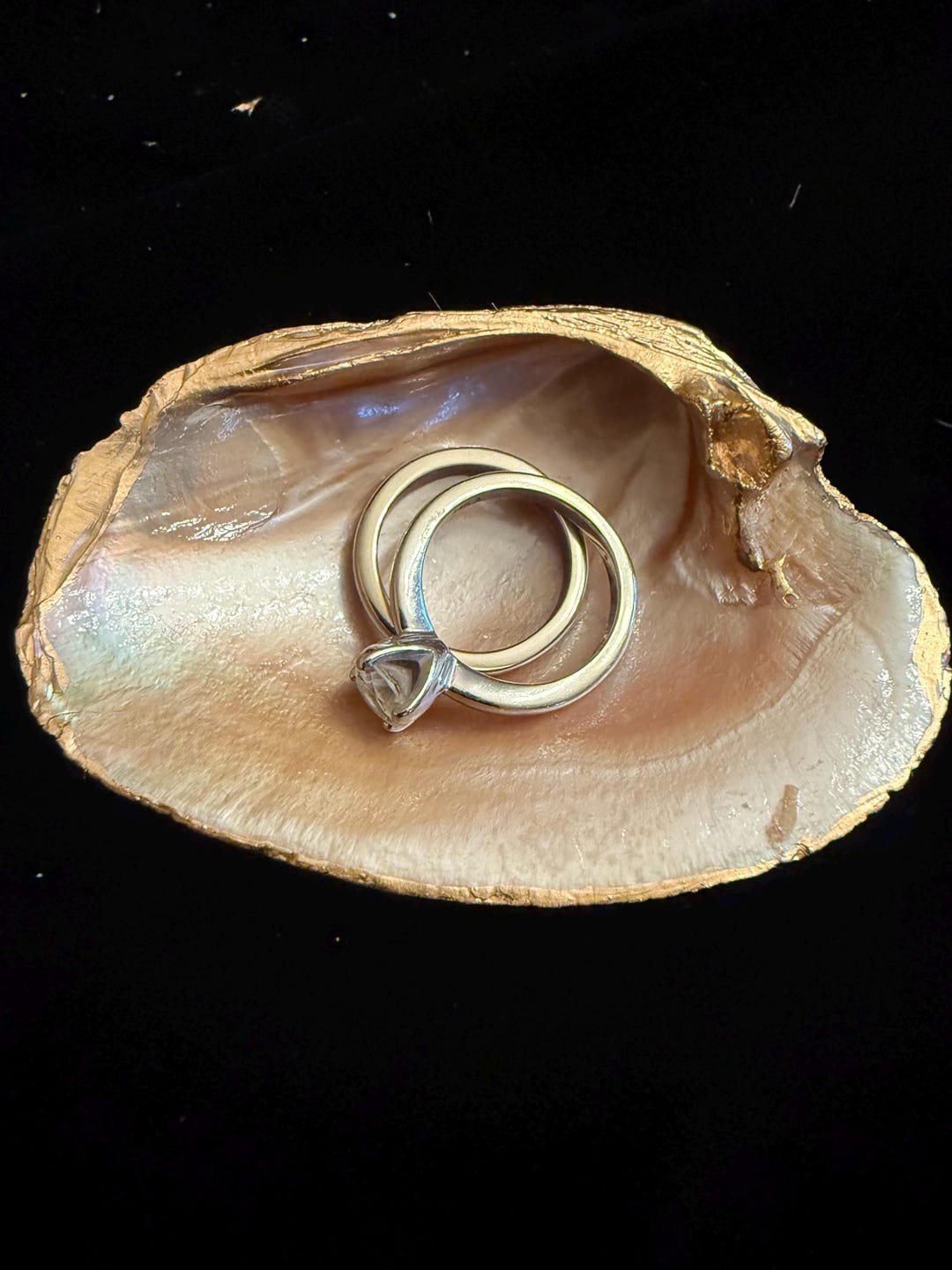 Clam Shell Ring Dish With Natural Pearlescent Interior - Etsy
