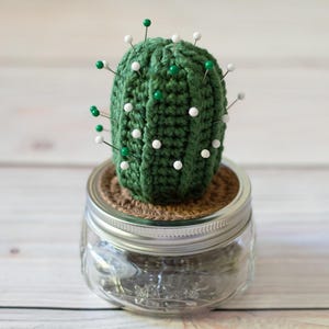 Kaktus nadelkissen - Etsy sterreich