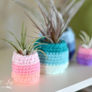 Air Plant Pots Crochet PATTERN PDF DOWNLOAD image 2