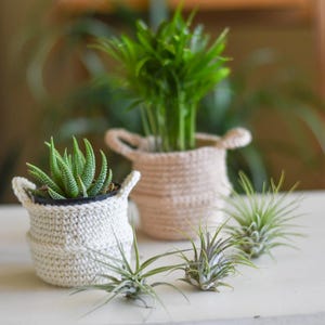 Crochet Mini Belly Baskets PATTERN: Cotton Planters (Digital Download)