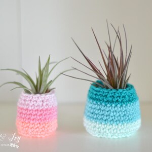 Air Plant Pots Crochet PATTERN PDF DOWNLOAD image 3