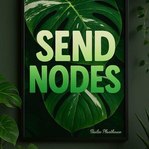 May include: A framed art print featuring a close-up of a large, green monstera leaf with white variegation. Bold, gradient green text reads "SEND NODES." The artist's name, "Bailee Planthouse," is in the bottom right corner.