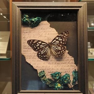 Cornice a forma di farfalla originale, farfalla in cornice - Arte incorniciata fatta a mano con fiori pressati, regalo di Capodanno per gli amanti della natura, regalo per lei