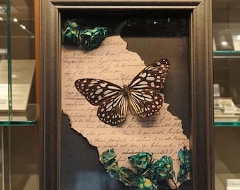 Real Butterfly  Frame Original Butterfly in Frame  - Handmade Framed Art with Pressed Flowers , New Year Gift for Nature Lovers,Gift for Her