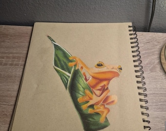 Orange Frog Drawing hand made