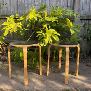 Ikea Frosta - Etsy