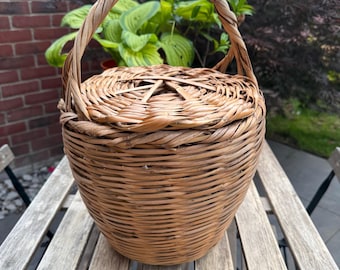 Vintage French Split Cane Basket Bag with Lid | Jane Birkin Style