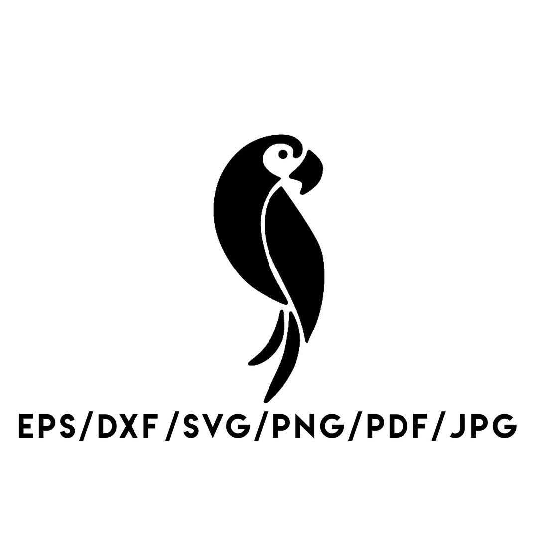 Parrot Basic Design Parrot Design Instant Download Svg, Eps, Dxf, Png, Pdf, Jpg Digital ...