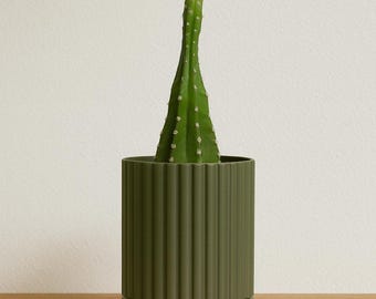 Maceta de cactus minimalista, maceta impresa en 3D