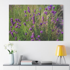 Purple Prairie Clover Native Wild Flowers Canvas Print: Wildflower Floral Wall Hanging Decor