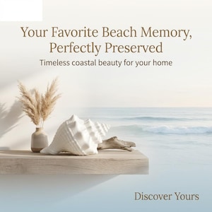 Coquillage imprimé en 3D - Grand coquillage blanc artificiel pour décoration de maison de plage côtière