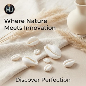 Uniform White Cowrie Shells Bulk - 15 to 60 mm sizes