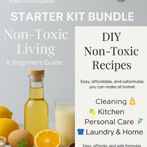 Non-Toxic Living Bundle: Beginner's Guide, Printable DIY Recipes (Printable PDF Digital Download)