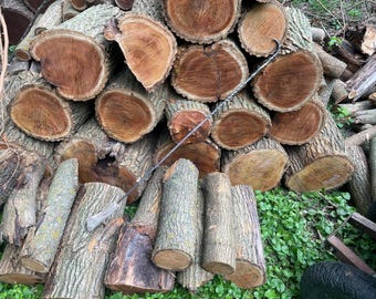 May include: A pile of cut firewood logs, showcasing various sizes and shapes. The logs display a mix of light and dark brown hues, with visible wood grain and bark textures. Some logs are cut into rounds, revealing the tree's growth rings.