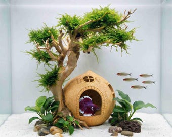 Cueva para bettas de cáscara de coco natural / Árbol bonsái de madera flotante para acuario / Decoración ecológica para peceras