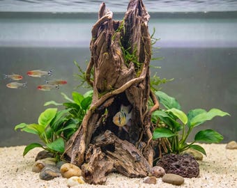 Tronco hueco para acuario / Anclaje para plantas acuáticas / Santuario natural de descanso para bettas