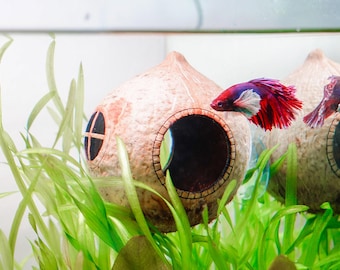 Cueva para bettas/escondite para camarones hecha de cáscara de coco natural, decoración para acuarios.