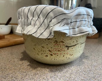 Masa madre orgánica de grano entero recién molida - Combina con el plato de masa madre de grano entero