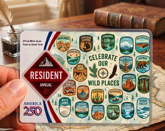 National Park Pass Sleeve, America 250 Commemorative Holder, USA Travel Gift, Protective Card Case, Unique Artwork - Not AI, Durable Holder