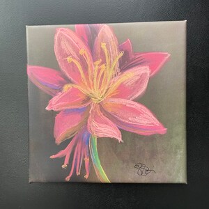 8x8 Inch Print of Garden Flower