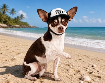 Aangepaste hond truckerpet | Gepersonaliseerde hondenpet met tekst of ontwerp | Grappige huisdierenhoed | Gepersonaliseerde puppypet | Accessoires voor kleine, middelgrote en grote honden