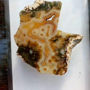 May include: A polished, irregularly shaped agate stone with a natural pattern of concentric rings in shades of yellow, brown, and white. The stone has a rough, textured edge and a small hole. The agate is a decorative item.