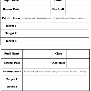 K&ouml;nnte beinhalten: Eine schwarz-wei&szlig;e Tabelle mit der &Uuml;berschrift "IDP TARGETS". Sie enth&auml;lt Abschnitte f&uuml;r Sch&uuml;lername, &Uuml;berpr&uuml;fungsdatum und Ziele. Die Tabelle enth&auml;lt eine Liste von Priorit&auml;tsbereichen. Oben und unten befindet sich ein rosa-wei&szlig;es Schachbrettmuster.