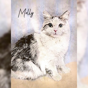 May include: A portrait of a cat named Molly. The cat has white fur with patches of dark grey and black. It has large, round eyes and a pink nose. The background is a light blue with vertical stripes.