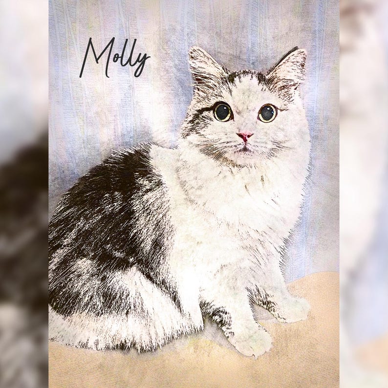 May include: A portrait of a cat named Molly. The cat has white fur with patches of dark grey and black. It has large, round eyes and a pink nose. The background is a light blue with vertical stripes.