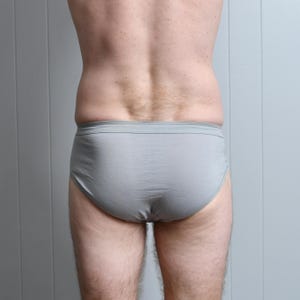 Puede incluir: Un slip gris claro. El slip est&aacute; hecho de un material suave y tiene un dise&ntilde;o sencillo. La cintura es de un tono gris m&aacute;s oscuro. El slip se muestra desde atr&aacute;s.