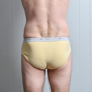 Pu&ograve; includere: Slip giallo chiaro con fascia in vita grigia con motivo ripetuto. Lo slip &egrave; realizzato in un tessuto morbido e di colore chiaro. La fascia in vita &egrave; in vita.