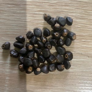 Può includere: Un gruppo di semi marrone scuro con una consistenza liscia e lucida. I semi sono sparsi su una superficie di legno marrone chiaro. Ogni seme ha una piccola apertura chiara a un'estremità.