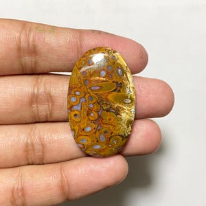 May include: Oval-shaped gemstone with a polished surface. The stone features a mix of colors, including shades of yellow, brown, and hints of blue and white. The pattern is intricate, with circular and irregular shapes throughout.