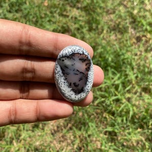 May include: An oval gemstone featuring a white base with detailed black and grey dendritic patterns. The stone is held in a hand against a backdrop of green grass, highlighting its natural beauty and unique design.