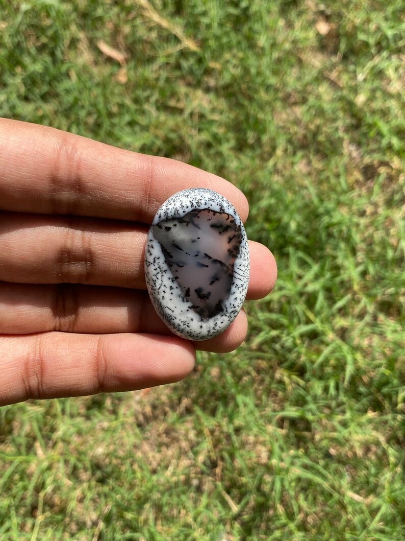 May include: An oval gemstone featuring a white base with detailed black and grey dendritic patterns. The stone is held in a hand against a backdrop of green grass, highlighting its natural beauty and unique design.