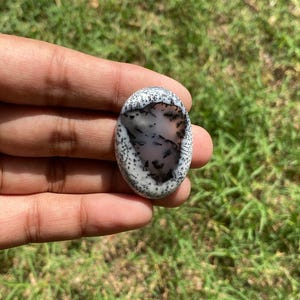 May include: An oval gemstone with a white speckled surface and a grey and black interior pattern. The stone is held in a hand against a background of green grass.