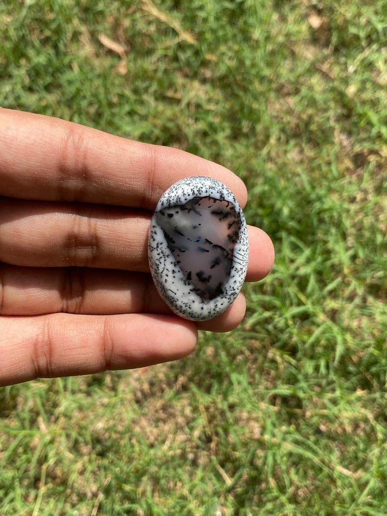 May include: An oval gemstone with a white speckled surface and a grey and black interior pattern. The stone is held in a hand against a background of green grass.