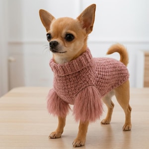 Puede incluir: Un perro Chihuahua pequeño de color canela lleva un suéter de punto rosa polvoriento. El suéter presenta un cuello alto acanalado, un cuerpo de textura tejida y adornos largos de piel sintética en las aberturas delanteras.