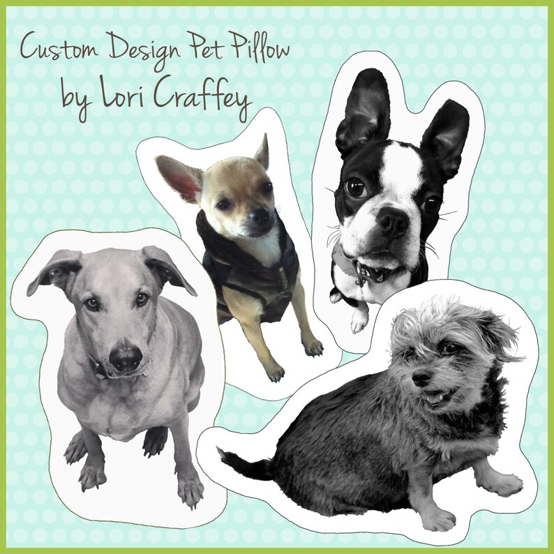 Custom Pet Pillow image 4