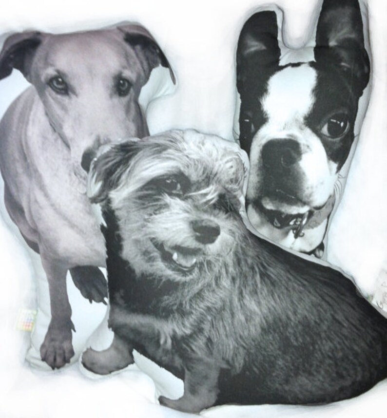 Custom Pet Pillow image 3