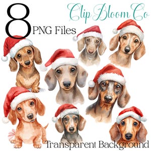 Può includere: Illustrazioni ad acquerello di cani bassotto con cappelli di Babbo Natale. L'immagine include il testo "8 PNG Files", "Clip Bloom Co" e "Transparent Background". I cani sono in varie tonalità di marrone, nero e grigio.