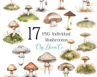 Mushroom Clipart PNG Set – 17 Watercolor Woodland Illustrations (Digital Download)
