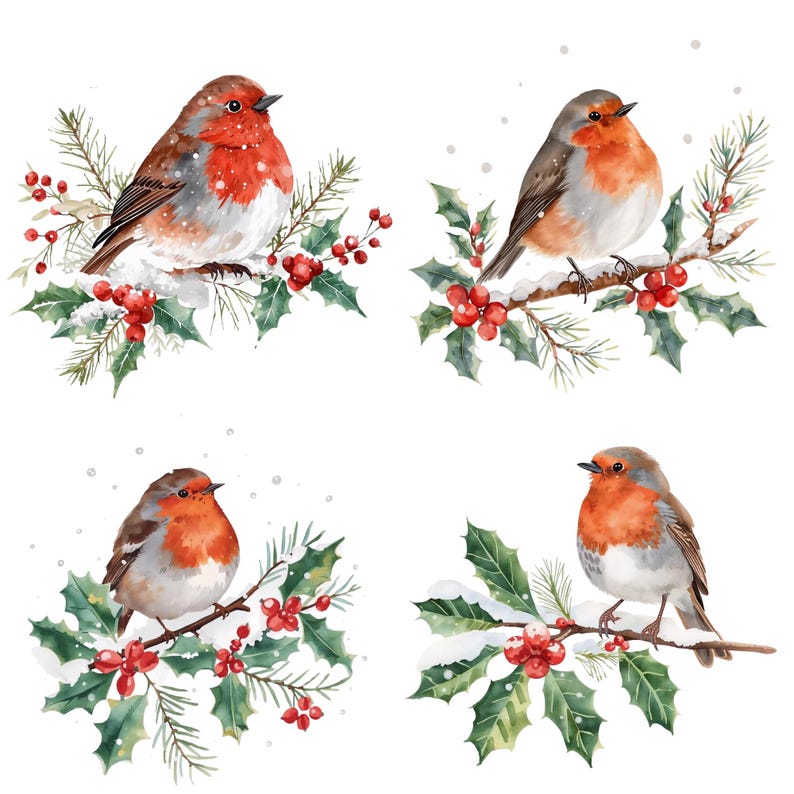Robin Christmas PNG Bundle – 10 Winter Bird Clipart Images – Watercolor ...